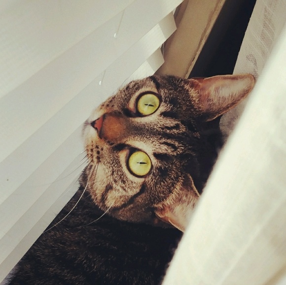 lillian1221